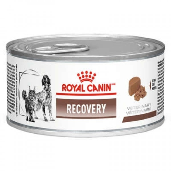 Royal Canin Ração Úmida Lata Canine e Feline Veterinary Diet Recovery Wet - 195g