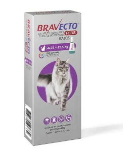 Bravecto Transdermal Plus para Gatos -500mg