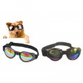 The Pets Óculos de Sol