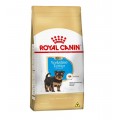 Royal Canin Ração para Cães Filhotes da Raça Yorkshire Terrier - 2,5kg